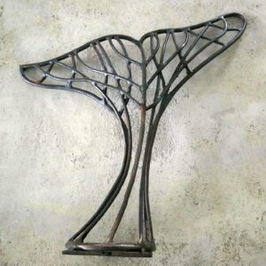 Ballena Franca