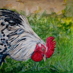 Gallo I