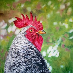 Gallo Castellano