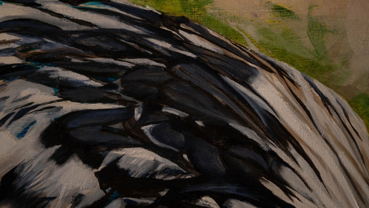 Gallo I - Imagen 2
