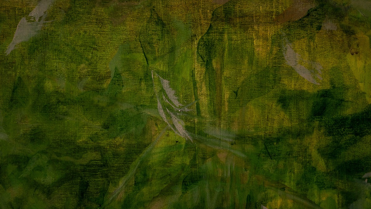 Gallo I - Imagen 6